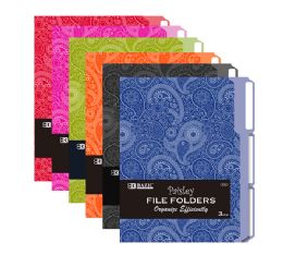 48 Wholesale 1/3 Cut Letter Size Paisley File Folder (3/pack)