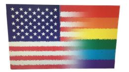 24 Wholesale Half And Half American Rainbow Flag