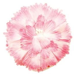 120 Wholesale Six Piece Satin Flower Pink