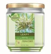 6 Pieces Natural Killer 130z Candle With Clean Air Technology Odor Eliminator, Leafy - Candles & Accessories