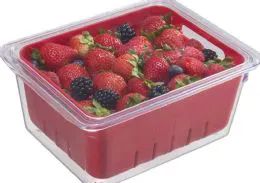 6 Wholesale Square Bin With Berry Basket