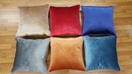 24 Wholesale Astro Pillow Assorted