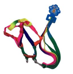 24 of Rainbow Dog Harness With 48 Inch Leash