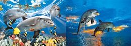 20 Wholesale 3d Picture 9763--Dolphins W Tropical Fish/dolphins Jumping