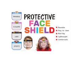 96 Wholesale Childs Face Shield 4 Asst