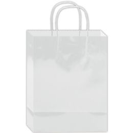 180 Wholesale Everyday Gift Bag White Size Medium