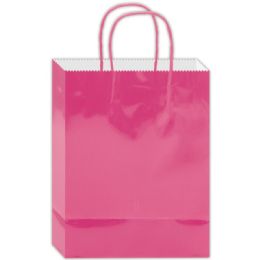 180 Wholesale Everyday Gift Bag Hot Pink Size Medium