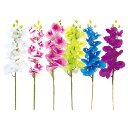 24 Wholesale Orchid In Assorted Colors