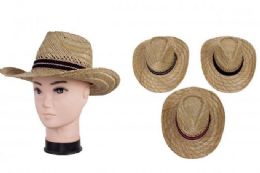 72 Wholesale Men's Large Brim Straw Hat