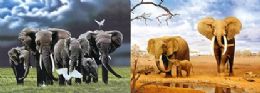 40 Pieces 3d Picture Elephant Family - Home Decor