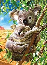40 Wholesale 3d Picture Koalas