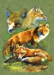 40 Pieces 3d Picture Red Fox - Home Decor