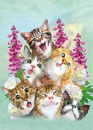 40 Wholesale 3d Picture Six Happy Kittens