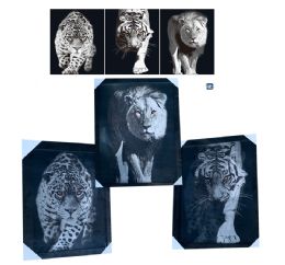 12 Wholesale Lion Leopard And Tiger Canvas Picture Wall Art