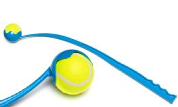 60 Wholesale Pet Throw Tennis Toy