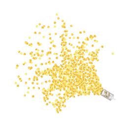 12 Bulk Push Up Confetti Poppers Gold