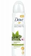 24 Wholesale Dove Body Spray 250ml Awakening Ritual Green Tea