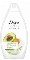 24 Pieces Dove Body Wash 16.9 Invigorating Ritual - Soap & Body Wash