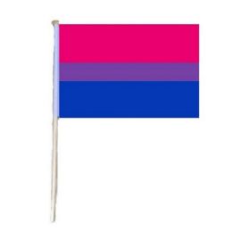24 of Stick Flag Bisexual Pride
