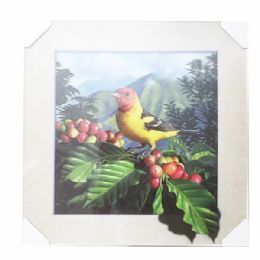 12 Pieces Western Tanager Bird - Wall Decor