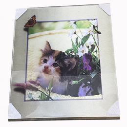 12 Wholesale Kitty Play With The Butterfly Canvas