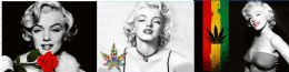 12 Units of Monroe Canvas Picture Wall Art - Wall Decor