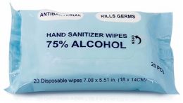 40 Wholesale Antibacterial Hand Sanitizer Wipes - 20-Pack