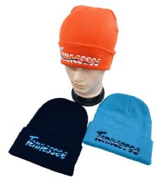 48 Wholesale Knitted Toboggan Wavy Tennesse