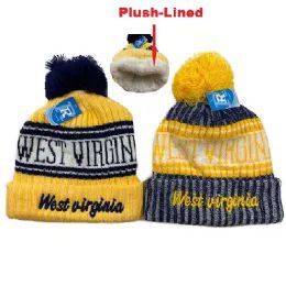 48 Bulk Plush Lined Knit Hat With Pompom