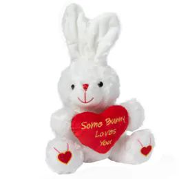 24 Wholesale 11 Inch Plush Valentine's Bunny