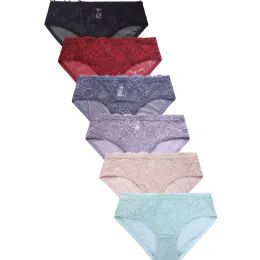 432 Wholesale Sofra Ladies Lace Bikini Panty