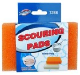 48 Wholesale 2 Pc Scouring Pads