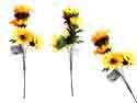 144 Pieces Sunflower Bouquet - Home Decor
