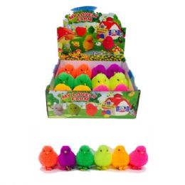 24 of Flashing Puffer Chick