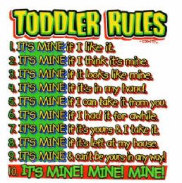 36 Wholesale Baby Shirts "toddler's Rules"