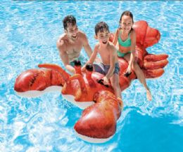 6 Pieces Lobster Ride on - Inflatables