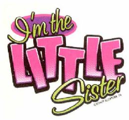 36 Bulk Baby Shirts I'm The Little Sister