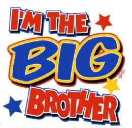 36 Pieces Baby Shirts "i'm The Big Brother" - Baby Apparel