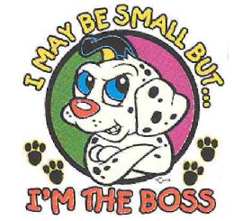 36 Pieces Baby Shirts Shirts "i May Be Small But I'm The Boss - Baby Apparel