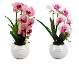 6 Pieces Simulation Orchid With Pot - Garden Planters and Pots