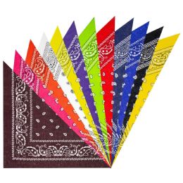 24 Wholesale Polyester 12 Colors Paisley Print Multicolor Bandana