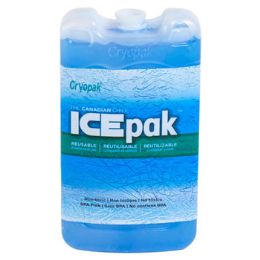 24 Wholesale Ice Pak Hard Shell Reusable3.8 X 6.9 In 24pc Display