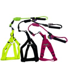 72 Pieces Harness & Rd Lead W Foam Hndl 1x2x120cm - Pet Collars and Leashes