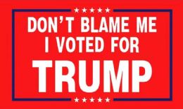 24 Wholesale Dont Blame Me I Voted For Trump Flag