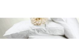 12 Pieces Feather Pillow In Standard Size - Pillows