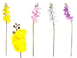 48 of Premium Orchid Flower Bouquet