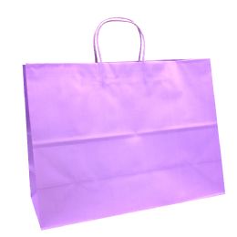 24 pieces Gift Bag Large 24ct Asst Desig - Gift Bags Everyday