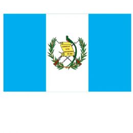 36 Wholesale Guatemala Flag 3x5