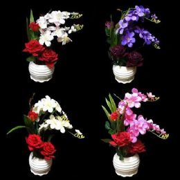 12 of Orchid And Rose Flower Plant