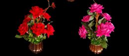 12 Pieces 15 Inch Rose With Golden Pot - Garden Planters and Pots